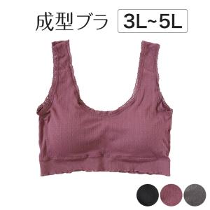 ノンワイヤーブラ ブラジャー ノンワイヤー 成型ブラ ハーフトップ ブラ レディース 3L〜5L ハーフトップブラ 下着 インナー (在庫限り)