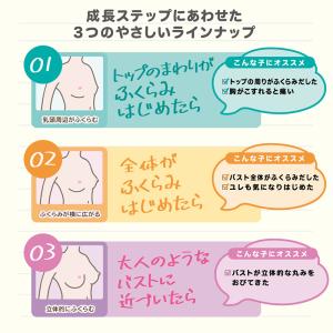アツギ ジュニアブラ 子供 ブラジャー ノンワ...の詳細画像5
