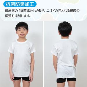 グンゼ 子供 肌着 男の子 半袖 綿100% ...の詳細画像2