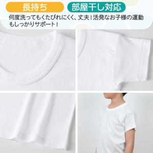 グンゼ 子供 肌着 男の子 半袖 綿100% ...の詳細画像3