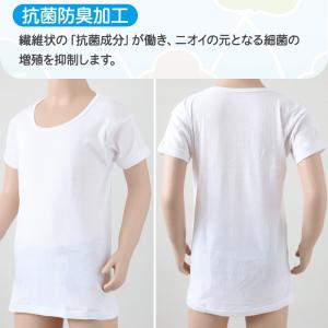 グンゼ 子供 肌着 半袖 男の子 綿100% ...の詳細画像2