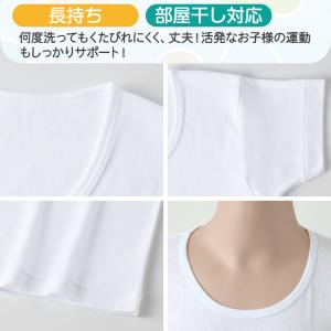 グンゼ 子供 肌着 半袖 男の子 綿100% ...の詳細画像3