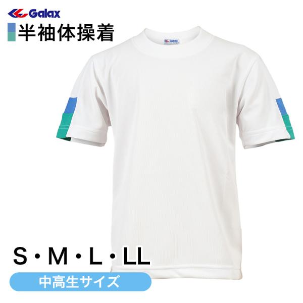 ギャレックス 体操服 半袖トレシャツ S・M・L・LL 男子 女子 ジャージ 白 ワンポイント クル...