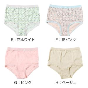 ショーツ レディース 綿100 婦人 コットン...の詳細画像5