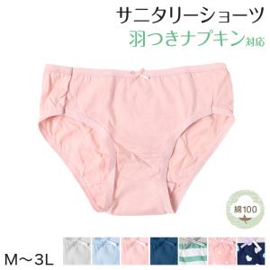 サニタリーショーツ 羽根つき対応 ショーツ レデ...の商品画像