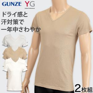 グンゼ YG メンズ VネックTシャツ Tシャツ 2枚組 M〜LL (GUNZE 男性 紳士 下着 肌着 半袖 tシャツ V首 インナー 吸汗速乾 抗菌防臭 M L LL)｜すててこねっと ヤフー店