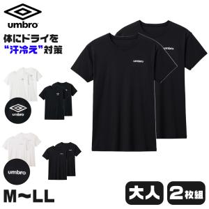 グンゼ アンブロ クルーネック Tシャツ 2枚 M〜LL 下着 シャツ 肌着 インナー アンダー 無地 スポーツ 運動 シンプル 清潔 黒 白 プレゼント ギフト 父の日｜suteteko