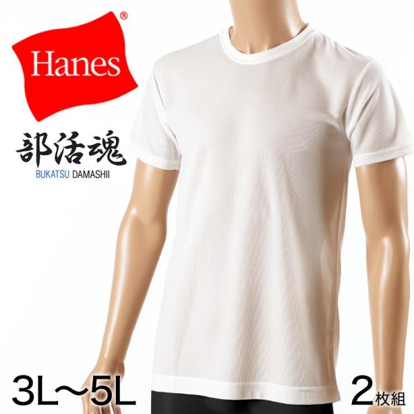 ヘインズ メンズ 半袖 Tシャツ 2枚組 3L〜5L (インナーシャツ 大きいサイズ 3l 4l 5...