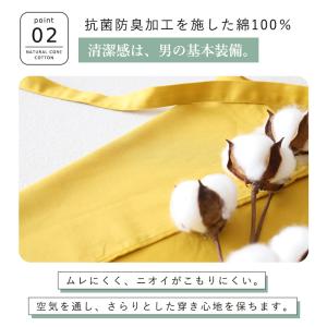ふんどし メンズ 綿100% 下着 インナー ...の詳細画像4