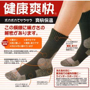 ワシオ 健康爽快 ポカポカソックス 発熱 靴下...の詳細画像4