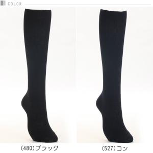 アツギ ハイソックス レディース 36cm丈 ...の詳細画像4