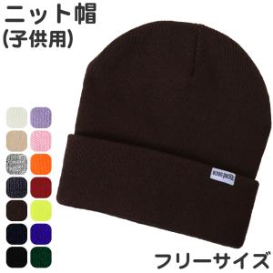 ニット帽 スキー スノーボード メンズ レディース ビーニー カラフル