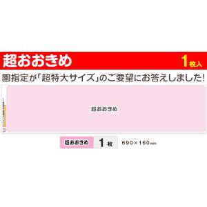 お布団 お名前シート お名前シール 布 おなま...の詳細画像5