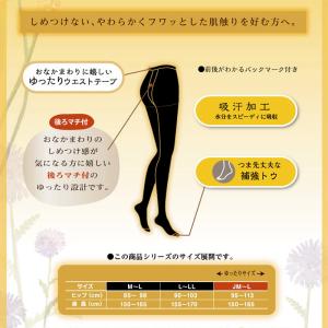 アツギ タイツ 40デニール ゆったりサイズ ...の詳細画像1