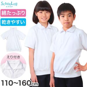 体操服 半袖 襟付き 小学生 体操着 小学校 男子 女子 110〜160cm 襟 速乾 半そで 白 ファスナー 衿つき 運動着 子供 キッズ スクール 綿 (送料無料) (在庫限り)