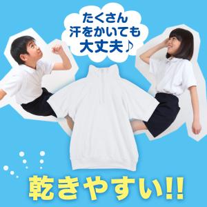 体操服 半袖 大きいサイズ 襟付き 体操着 S...の詳細画像2