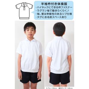 体操服 半袖 大きいサイズ 襟付き 体操着 S...の詳細画像4