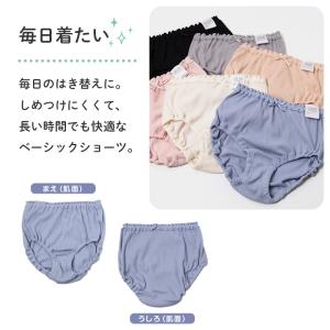 女の子 ショーツ 綿100 リブ インゴム キ...の詳細画像5