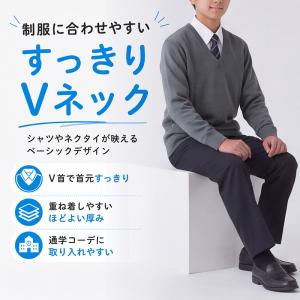 スクールセーター 男子 高校生 制服 ニット ...の詳細画像2