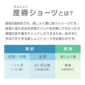 産褥ショーツ 産じょくショーツ 産後 マタニテ...の詳細画像1