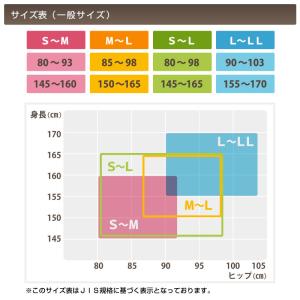 サブリナ ストッキング 3足組 グンゼ M-L...の詳細画像5