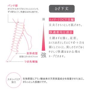 グンゼ IFFI 着圧 ストッキング ひざ下 ...の詳細画像2