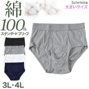 ブリーフ メンズ パンツ 綿100% スタンダー...の商品画像