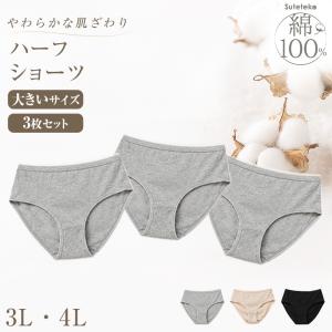 ハーフショーツ 綿100% レディース 3枚セッ...の商品画像
