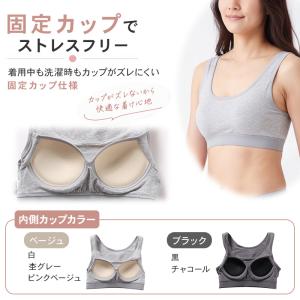 ハーフトップブラ 綿 締め付けない ノンワイヤ...の詳細画像3