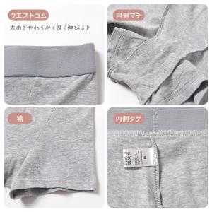 ローレッグショーツ ショーツ レディース 綿 ...の詳細画像5