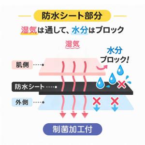 サニタリーショーツ ジュニア ポケット付き 子...の詳細画像2