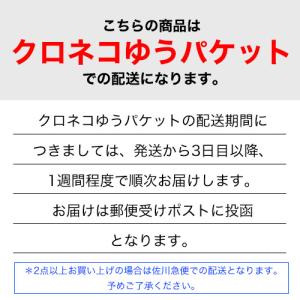 【公式ストア】 SUUNTO A-10 NH ...の詳細画像2