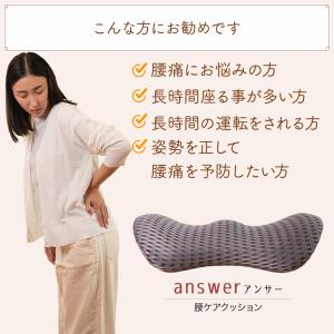 腰ケアクッション / 腰サポート 姿勢サポート...の詳細画像1