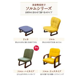 座椅子 solum(ソルム) あぐら座椅子 ハ...の詳細画像4