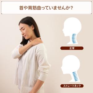 座椅子 hapit(ハピット)ハグする座椅子 ...の詳細画像2