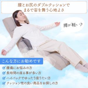 座椅子 answer(アンサー) ダブルクッシ...の詳細画像1