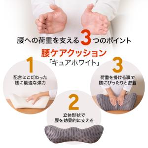 座椅子 answer(アンサー) ダブルクッシ...の詳細画像3