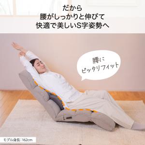 座椅子 answer(アンサー) ダブルクッシ...の詳細画像5