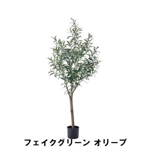 【値下げ】 フェイクグリーン オリーブ 幅44 奥行44 高さ152cm 造花 人工観葉植物 ガーデン ガーデン用品｜suwalog