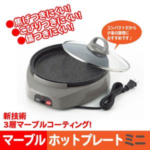 Panasonic（パナソニック） NF-W300-S ホットプレート 焼肉 たこ焼き