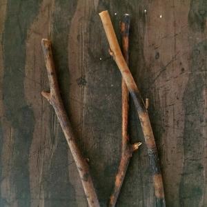 クロモジ茶 島根県 煮出し用20g(10袋入)...の詳細画像5