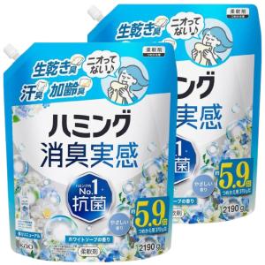 ハミング 消臭実感 金木犀の香り きんもくせい 柔軟剤 詰め替え 1000ml