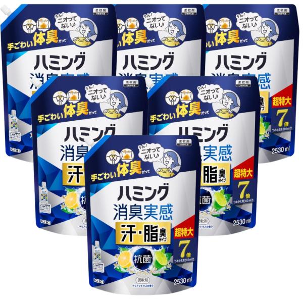 ハミング消臭実感 汗・脂臭タイプ 加齢臭 柔軟剤 着用中ずーっと無限消臭! クリアシトラスの香り 詰...