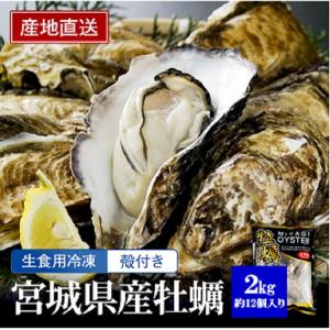 【宮城県産 生食用 冷凍 殻付き牡蠣 2kg】大粒 L〜2L 生食OK 生カキ 生牡蠣 かき 三陸産 石巻 海のミルク 約5〜7個 産地直送 プリプリ 焼きカキ カキフライ