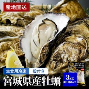 【宮城県産 生食用 冷凍 殻付き牡蠣 3kg】大粒 L〜2L 生食OK 生カキ 生牡蠣 かき 三陸産 石巻 約15〜20個 産地直送 プリプリ 焼きカキ カキフライ