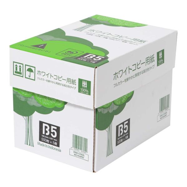 B5 エイピーピー ジャパン APPJ APP 高白色 ホワイトコピー用紙 白色度93% 紙厚0.0...