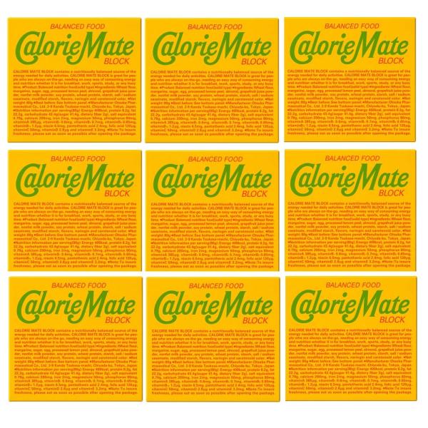 フルーツ ブロック 4本 大塚製薬 ×9個