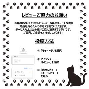 腕時計 レディース かわいい フルリー GY0...の詳細画像3