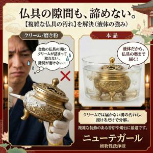 ニューテガール 250cc 真鍮磨き (ブラシ...の詳細画像1