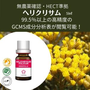 ヘリクリサム 種 ダイエット 健康グッズ の商品一覧 通販 Yahoo ショッピング